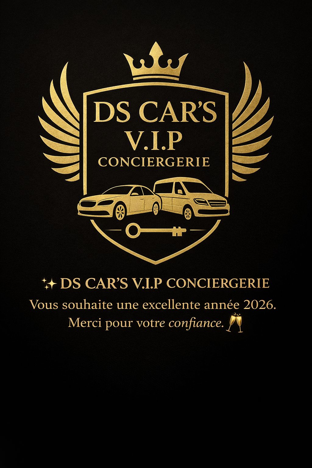 DS Cars VIP